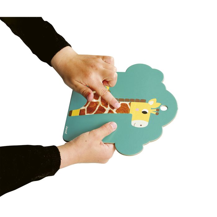 Cartas táctiles - La sabana - Imagen 15