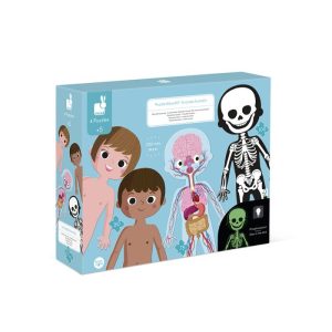 Puzzle gigante - El cuerpo humano