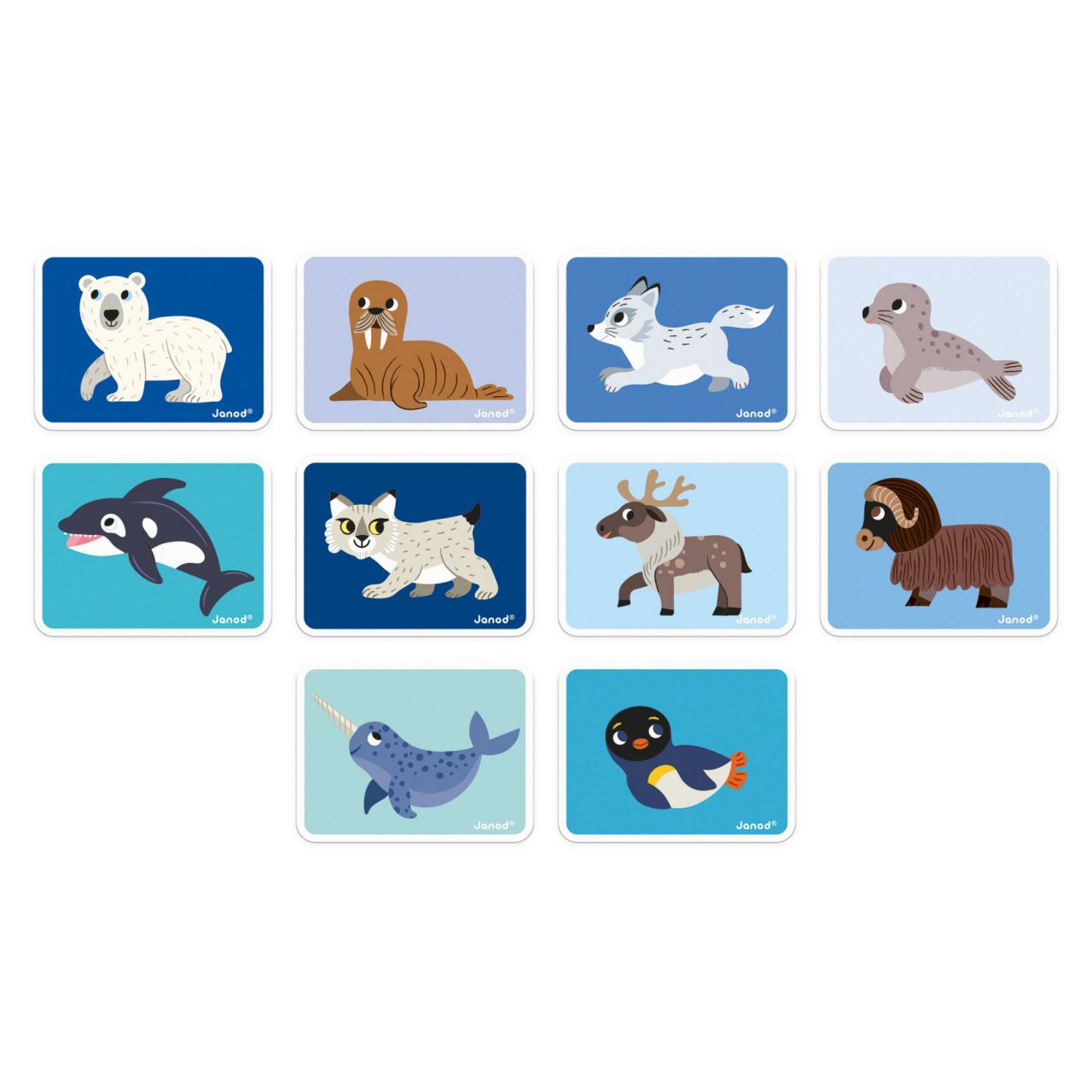 Magneti'book - Animales polares - Imagen 3