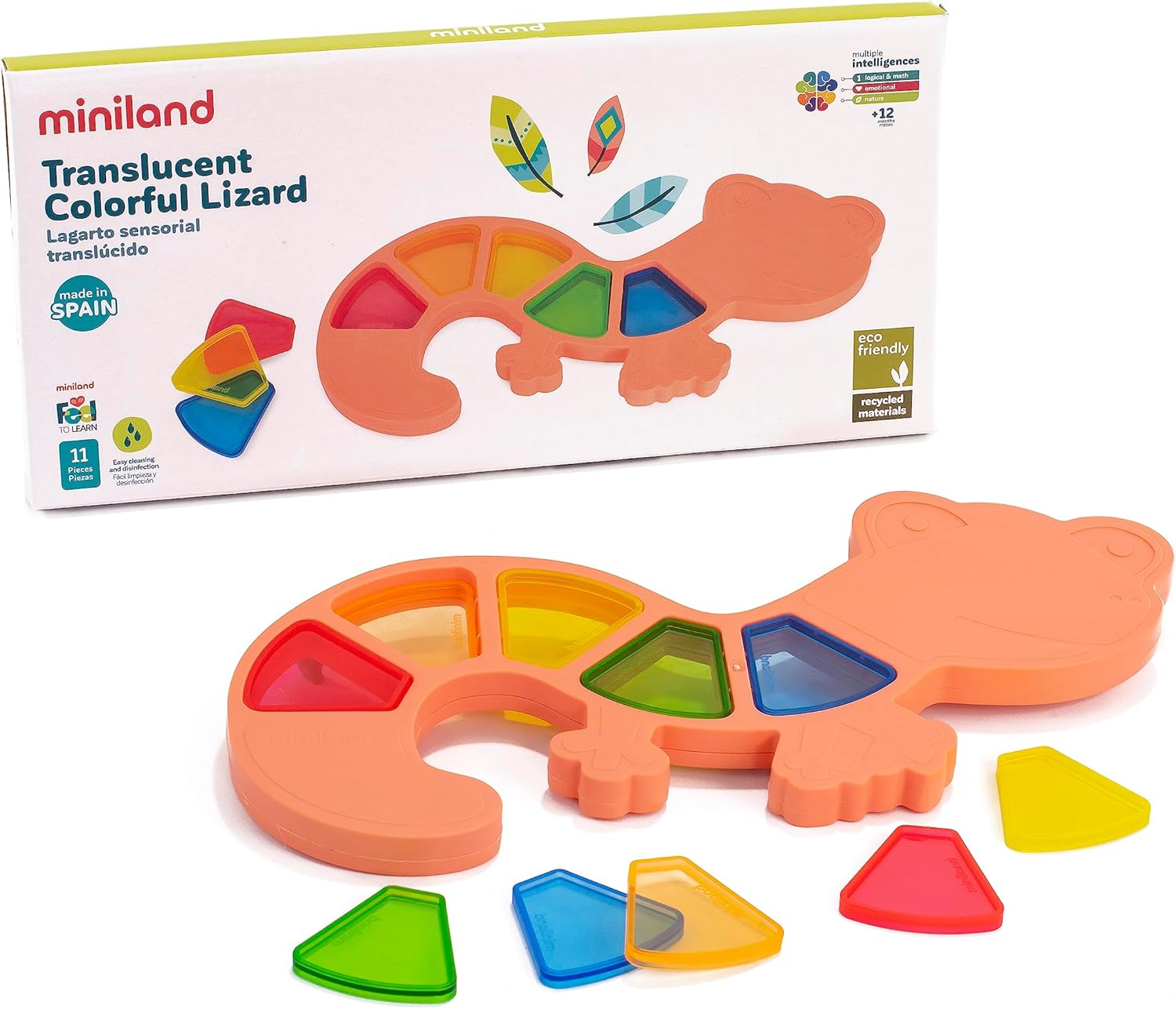 Lagarto sensorial - Juego de colores translúcido - Imagen 2