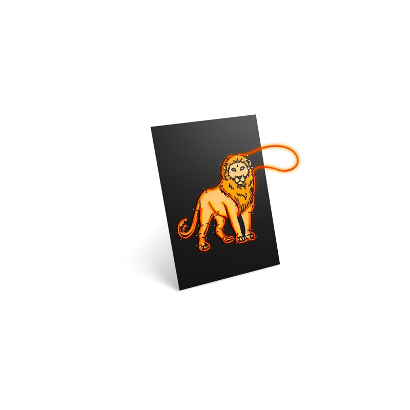 Kidyneón - Animales - Imagen 4