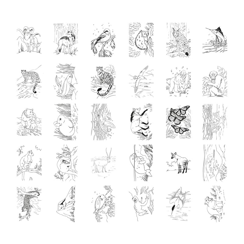 Kidydraw Pad - Animales - Imagen 7