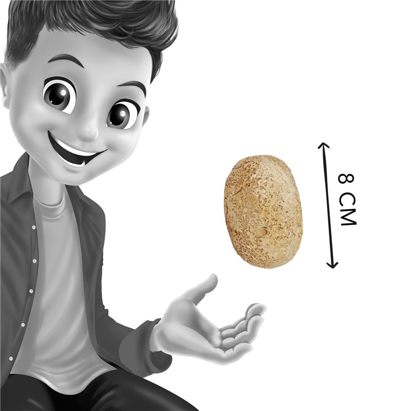 Huevos de dinosaurios sorpresa - Imagen 5